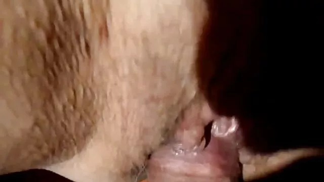 Âm Hộ-Elise, Dixon xxx nhật bản hay