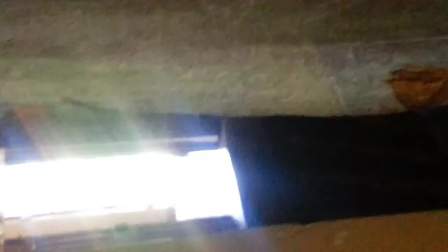 Bắt sọc 3. phần Dresden xx sex nhat ban